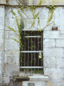 Grass growing out of prison windows