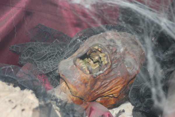 Mummified Remains
