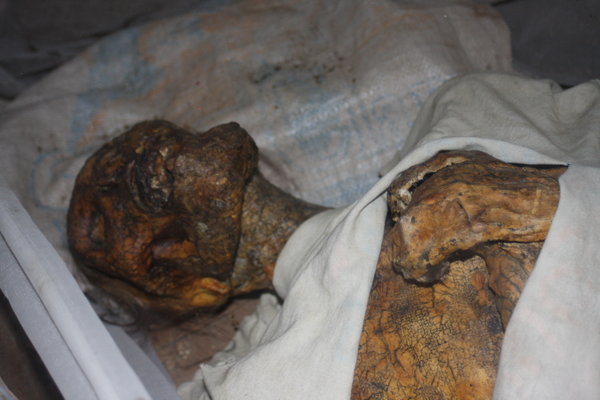 Mummified remains