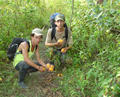 Mangos: ALL YOU CAN EAT along the trail.
