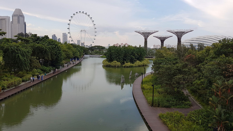 Super Trees and the Singapore Flyer