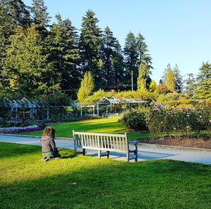 Man Meditating at the Rose Garden in Stanley Park