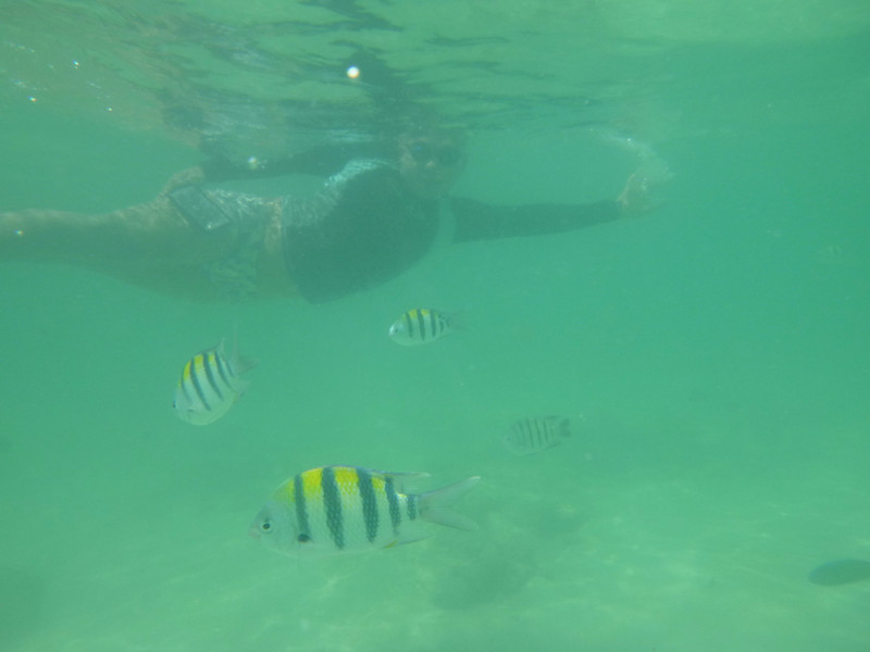 Snorkeling in Sapi Island