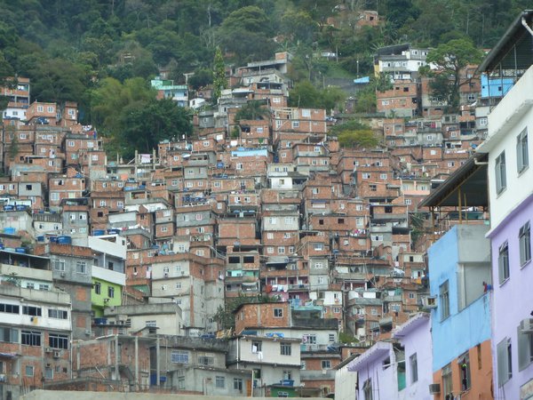 Favela (15)