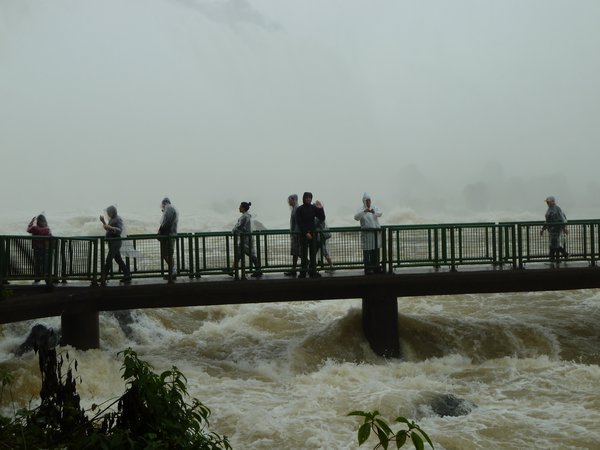 Rob  Iguazu Falls (5)