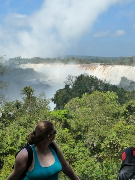 Iguazu Falls (9)