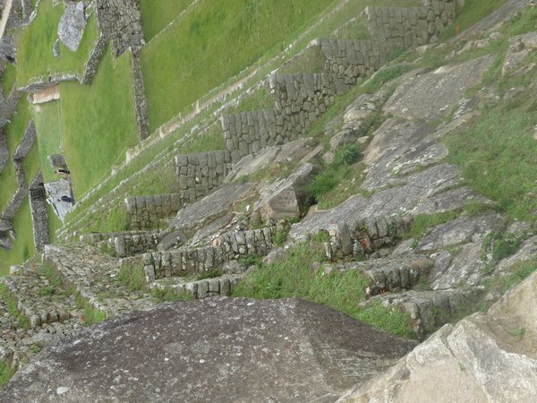 Machu Picchu, Inca Trail (Day 4), Peru (33)