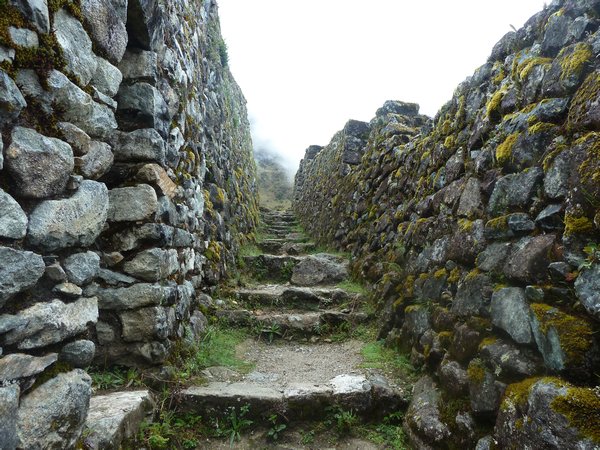 Inca Trail (Day 3), Peru (23)