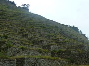 Inca Trail (Day 3), Peru (70)