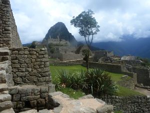 Machu Picchu, Inca Trail (Day 4), Peru (46)