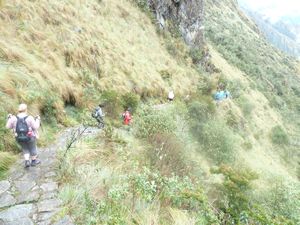Inca Trail (Day 3), Peru (9)