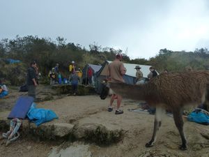 Inca Trail (Day 3), Peru (42)