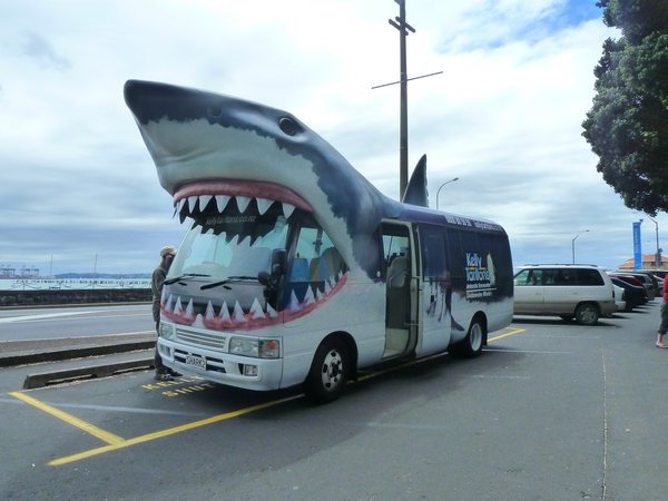 Bus to Aquarium, Auckland, New Zealand (14)