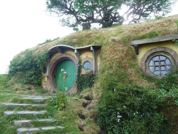 Baggend, The Shire, North Island, New Zealand (29)