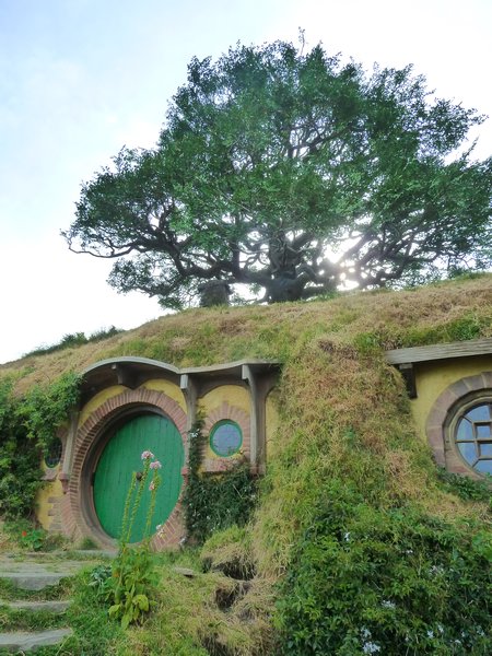 Bilbo & Frodo's House, The Shire, North Island, New Zealand (30)