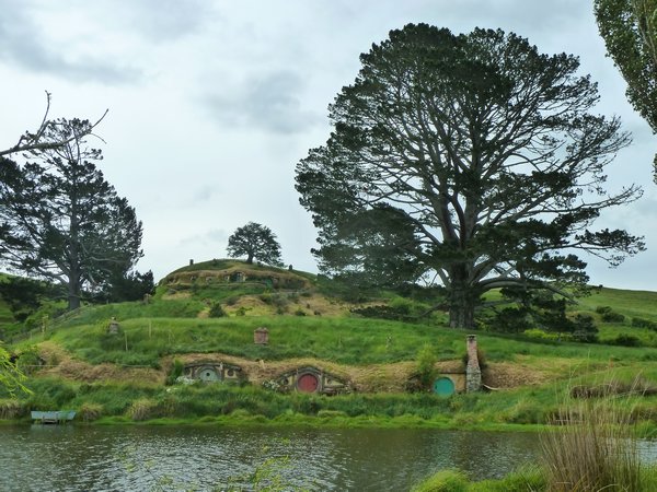 The Shire, North Island, New Zealand (19)