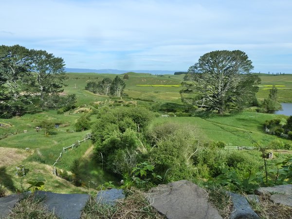 The Shire, North Island, New Zealand (32)