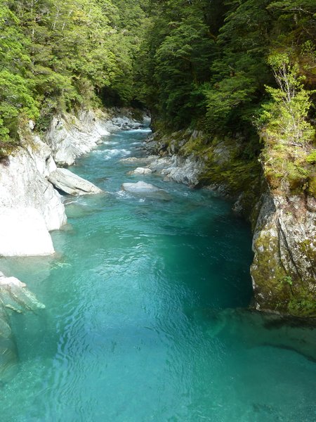 Blue Pools, South Island, New Zealand (114)