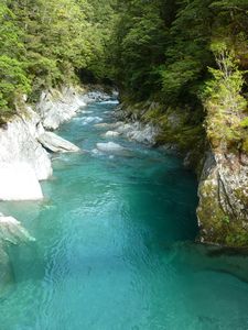 Blue Pools, South Island, New Zealand (114)