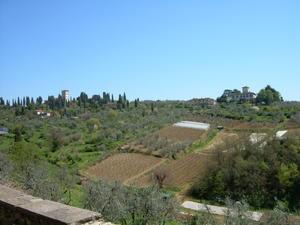 Olive Groves and dwellings