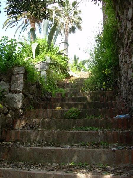 Local Steps at Local House