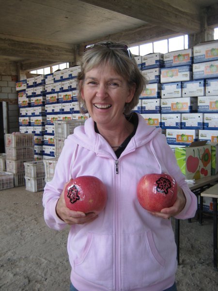 Gail's big apples