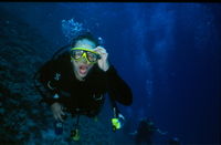 Top Diver