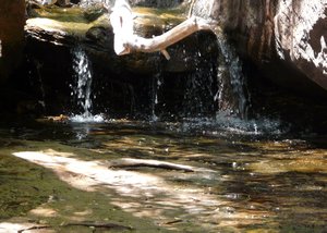 Serene pond above falls