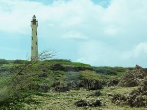Aruba's Lighthouse