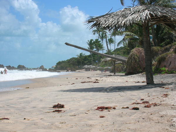 Tambaba the nudist beach