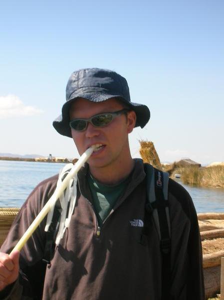 James eating Lake reeds.