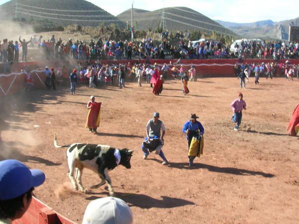 Bull causes mayhem in the crowd of dancers