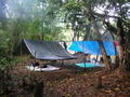 First nights camp in jungle