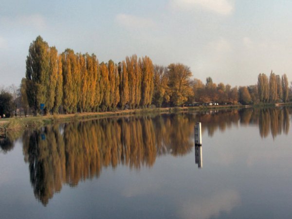 Autumn splender on the Elbe