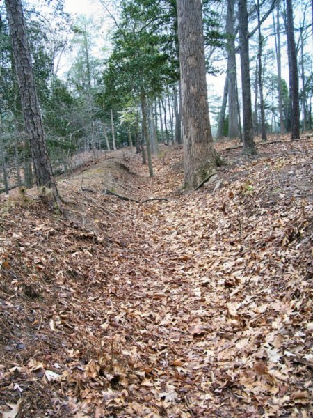 Cold Harbor Trench
