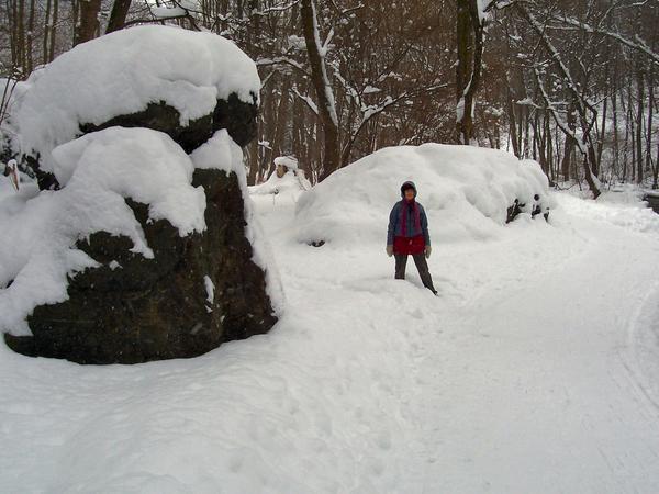 Nancy In the Snow