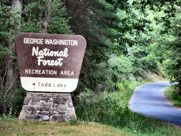 National Forest Sign 