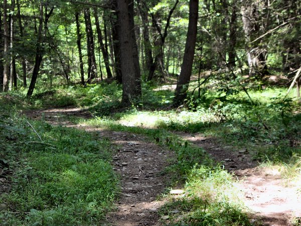 Part of the trail 