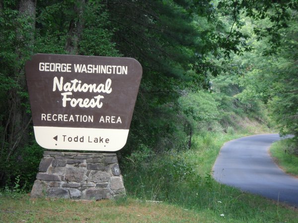 Entering the National Forest