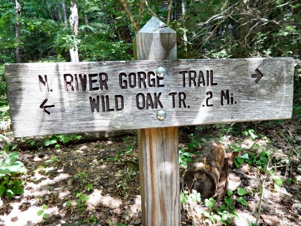 Trail sign 