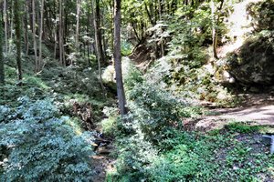 Sternberk hiking trail 