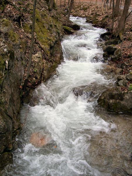 The Wildly Rushing Stream