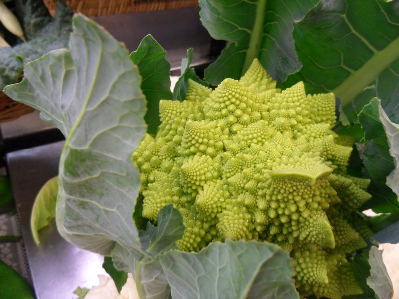 We do not know the name of this vegetable