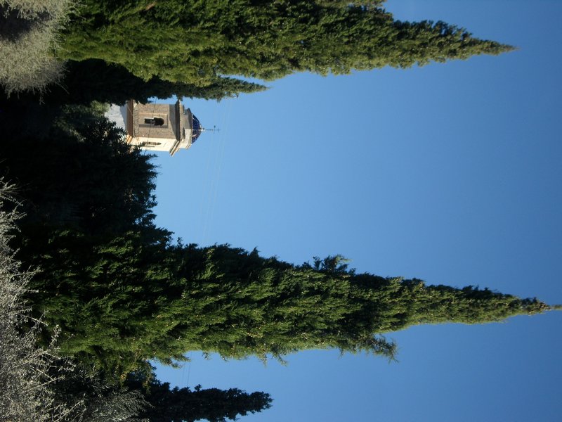 Blue sky, trees, church tower