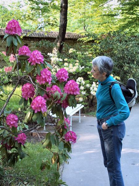 Nancy Contemplating a Rhododendron 