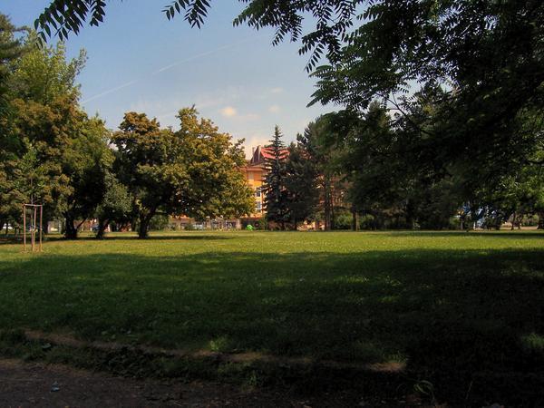 Looking Across the Park