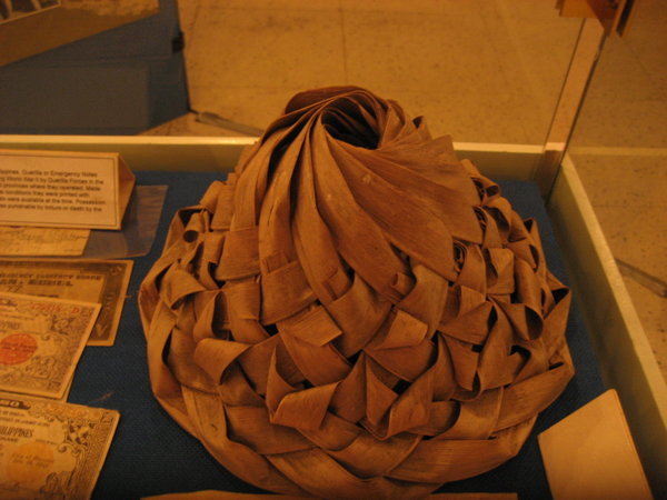 Palm helmet