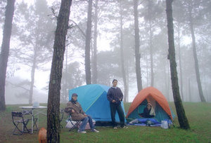 camping in pine tree field