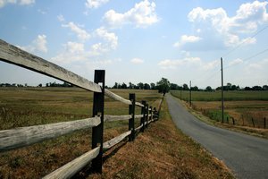 Road to Belle Grove Plantation