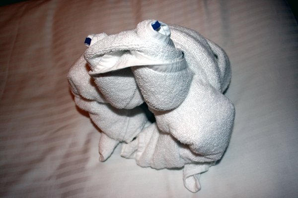 Towel animal from turn-down service